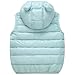 AIWUHE Baby Boys Girls Hooded Puffer Vest Winter Lightweight Sleeveless Bear ears Zipper Up Jacket Dark pink 100