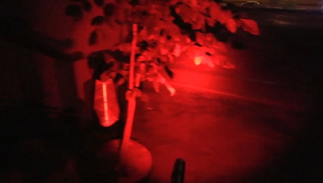 WONDSUNSON Pen Type Red Light Penlight Flashlight One Mode Red