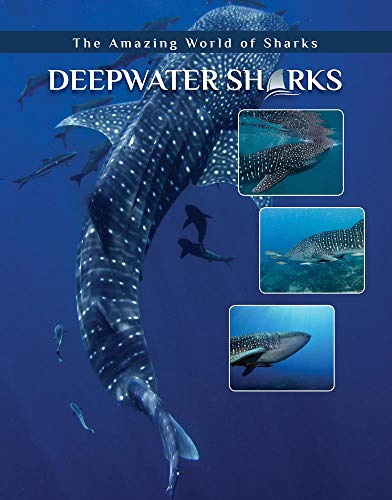 Deepwater Sharks (The Amazing World of Sharks)
