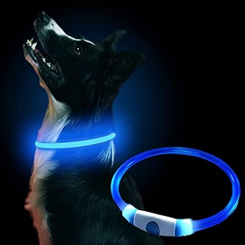 iJiZuo LED Dog Collar USB Rechargeable 3 Modes, Silicone Collar for Pets Flashing LED Light, Dark Dog Collar Light for Puppy Medium Large Dog, Can Provide 500m Sight Distance (Blue) Cover