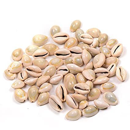 BABA KA DEEWANA Beads / ORGENIC / Natural / PUJA /HAVAN /YAGYA Shell Set of 101