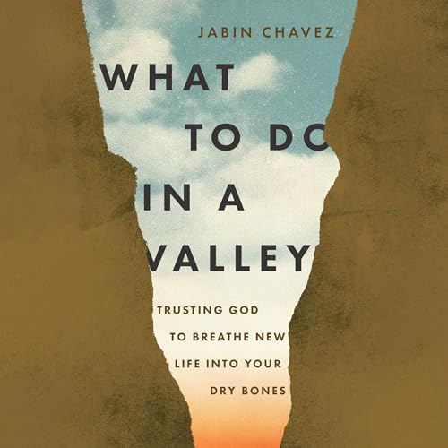 Page de couverture de What to Do in a Valley