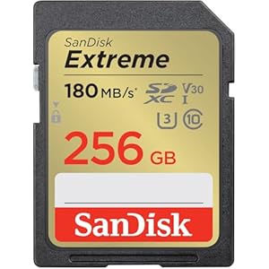 SanDisk 256GB Extreme SDXC UHS-I Memory Card – C10, U3, V30, 4K, UHD, SD Card – SDSDXVV-256G-GNCIN