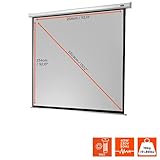 Celexon Leinwand Motor Economy 240 x 240 cm - 2