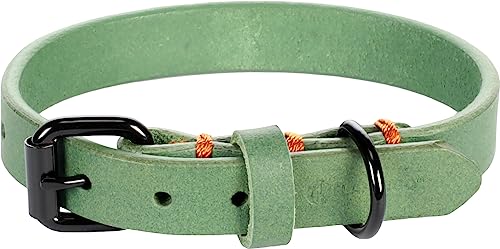Flamingo Dog Collar Leano Green XS/S 24-30cm 15mm - Image 2