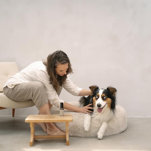 Raumspray für Hunde - natürliches Duftspray, mit ätherischem Lavendelöl, entspannt und neutralisiert schlechte Gerüche, KÖRBCHENSPRAY von LILA LOVES IT, 50 ml