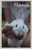  Notebook: Rabbit Hutch Nifty Composition Book Journal Diary for Men, Women, Teen & Kids Vintage Retro Design for Researching Bunnies For Sale Near Me
