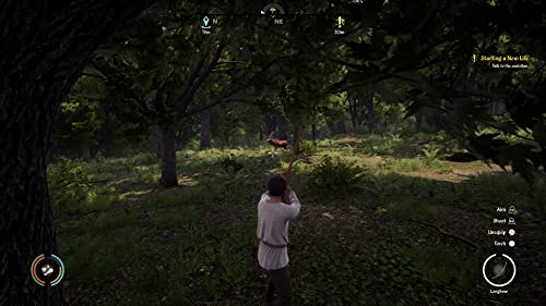 Medieval Dynasty PS5 - vue 2