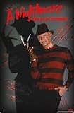 Trends International A Nightmare on Elm Street - Freddy Hall Wall Poster, 34L x 22.4W, Unframed Version