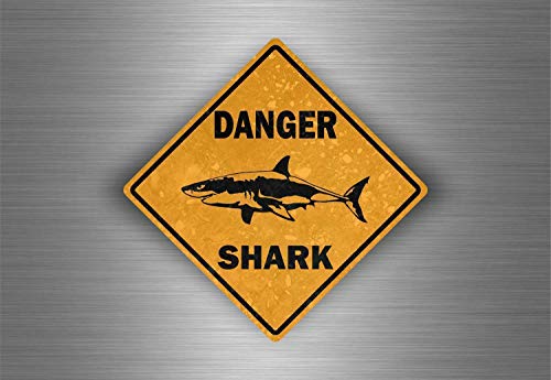 YelenaSign Panneau en métal 12 x 12 Pouces avec Inscription « Shark Danger Surf Shark »