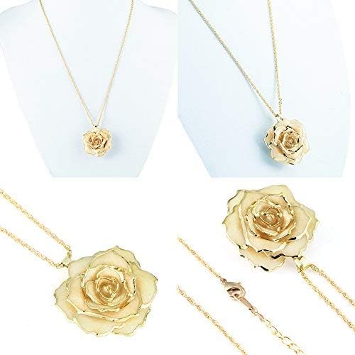 30mm Golden Necklace Chain with 24k Gold Dipped Real Rose Pendant Christmas, Valentine's Day, Great Anniversary, Mother's Day, Birthday Women - Image 6