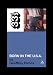 Bruce Springsteen's Born in the USA (33 1/3)