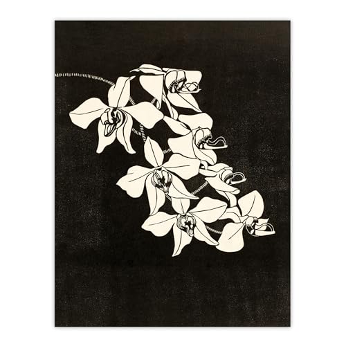 Artery8 Black and White Orchid Flower By Samuel J De Mesquita Large Wall Art Print 18X24 : Monochrome orchid drawing conveying modern minimalism suited to sleek interior décor