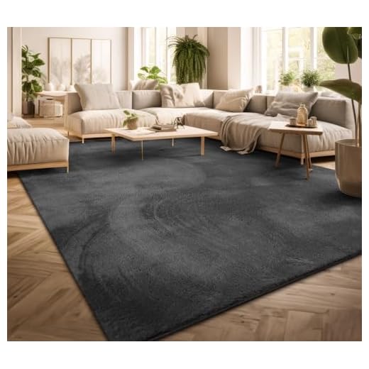 TT Home Tapis Poil Ras Tapis De Salon Monochrome Design Moderne Lavable, Couleur: Anthracite, Dimension:200x280 cm