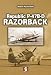 Republic P-47B-D Razorback: Yellow (Yellow Series)
