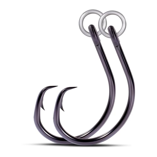 9KM DWLIFE Circle Hooks 4X Strong Corrosion-Resistant High-Carbon Steel Fishing Hooks with Ring for Catfish Bass Saltwater Circle Hooks 25Pcs
