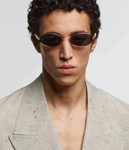 EYLRIM Retro Gold Oval Sunglasses for Women Men Trendy Metal Frame Sun Glasses UV400 Protection4