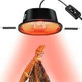 CAVACHEW G9 Reptile Infrared Heat Lamp, Terrarium Heating Lamp Fixture with 50W UVA Low Profile Night Red Bulb | Safety Mesh, Tank Hood Basking Spot Light for Bearded Dragons Turtles Lizards Geckos