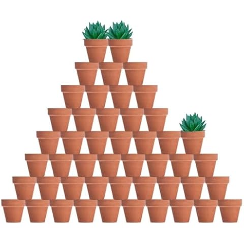 vensovo 48 Pcs Tiny Terracotta Pots for Succulents Cover