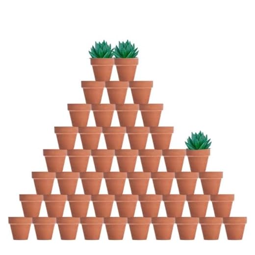 vensovo 48 Pcs 2" Tiny Terracotta & Terra Cotta Pots with Drainage - Small Mini Clay Ceramic Pottery Planter Ideal for Indoor/Outdoor Plants, Crafts, Wedding Favors