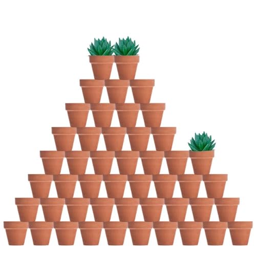 vensovo 48 Pcs 2' Tiny Terracotta & Terra Cotta Pots with Drainage - Small Mini Clay Ceramic Pottery Planter Ideal for Indoor/Outdoor Plants, Crafts, Wedding Favors