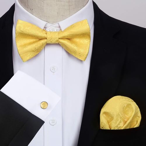 Image of HISDERN Bow Ties for Men Pretied Bow Tie Set Paisley Classic Bowties and Pocket Square Cufflinks Set for Wedding Party