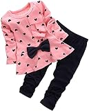 BOMDEALS Adorable Cute Toddler Baby Girl Clothing 2pcs Top&Pants Outfits (12-18 Months, Pink)