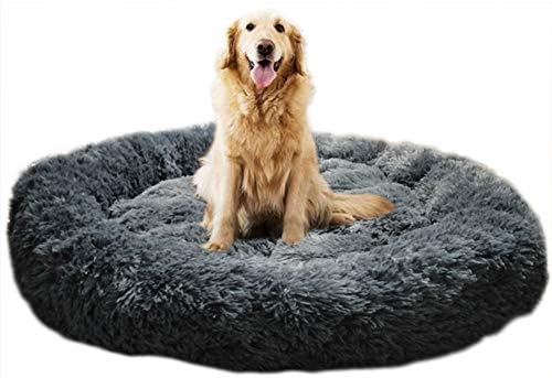 big fluffy dog bed