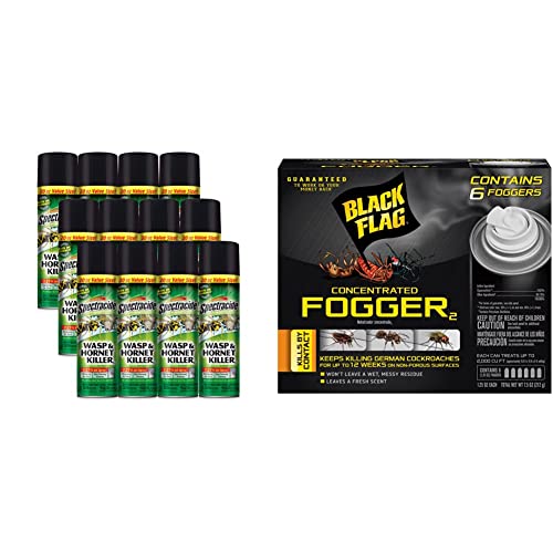 Customer Favorite Spectracide Wasp & Killer, 20Ounce, Pack of