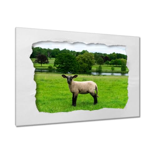 Peinture imprimée sur toile haut de gamme 120 x 80 cm paysage mouton pâturage H7824M