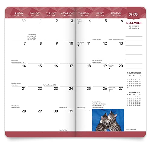 Kitten Cuddles | 2024-2025 3.5 x 6.5 Inch Two Year Monthly Pocket Planner | BrownTrout | Animals Cut