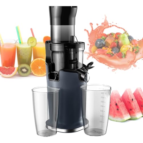 pealiritansemen 200 W Automatic Slow Juicer, 40-65 RPM Single Auger Juicer Machine, Low Speed Squeeze Juicer, Removable Design, for Making All Kinds of Fruit/Vegetable Juices