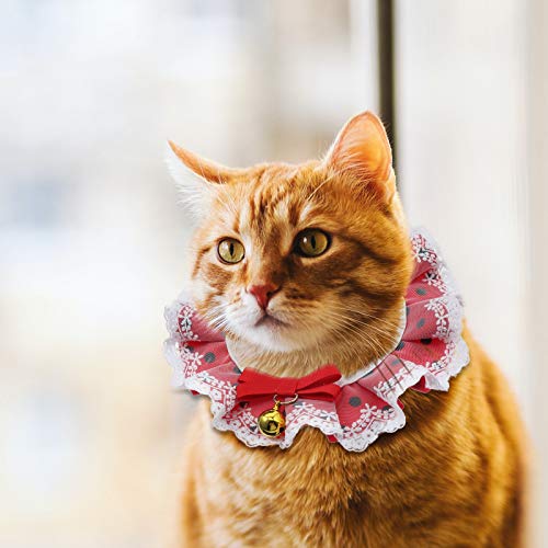Coleira para gato de estimação em renda com bolinhas bowknot (vermelho tamanho L)