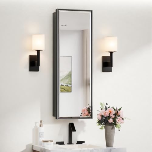 Image of TokeShimi 12 x 36 in Black Medicine Cabinet with Mirror, Aluminum Frame