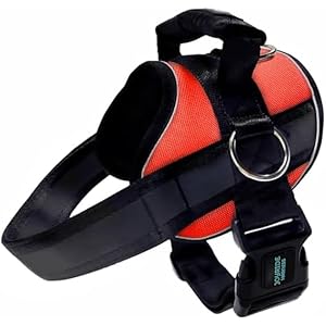 Joyride Harness 2.0 – The Original Side Ring No Pull Dog Harness – No Choke, Escape Proof, Reflective, 3 Leash Clips, Quick Fit Pet Vest – Easy Walks & Training – for Small, Medium & Large Dogs