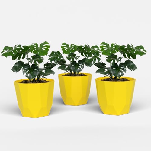 Image of YUCCABE ITALIA SHERA Hexa Plastic Planter Pot for Plants | Decorative Flower Pot | UV Protected Lightweight Indoor Outdoor Gamla for Home Decor, Balcony, Garden & Living Room