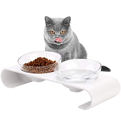 Legendog Raised Cat Bowl, 15u00b0 Tilted Adjustable Pet Bowl, Cat Bowls with Stand, Removable Transparent Pet Feeding Bowl, Anti-Slip Food and Water Bowls for Cats and Small Dogs