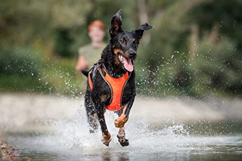 Julius-K9 JK9 Multivest XL chaleco naranja para excursiones y paseos 5