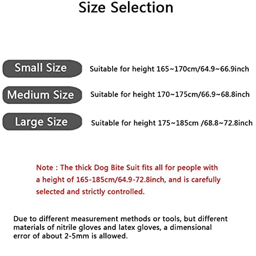 Conseils d'expert pour utilisation optimale