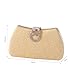 Dreubea Women's Fashion Evening Bag Rhinestone Decrated Clutch Handbag with Chain Golden