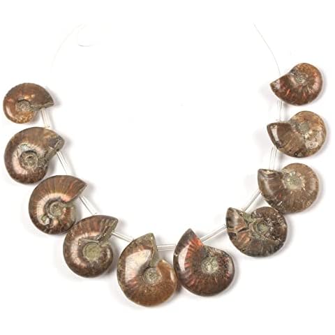 JUST IN STONES 10pcs Side Drilled Natural Whole Ammonite Fossil Loose Gemstone Beads Cover