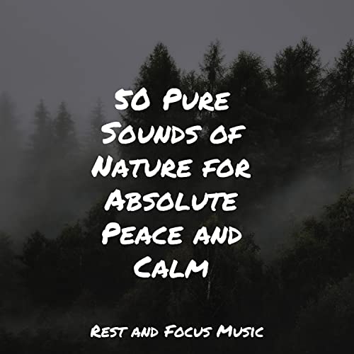 50 Pure Sounds of Nature for Absolute Peace and Calm di Namaste Yoga ...