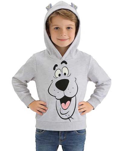 Xumplo Boys Hoodie for Kids Toddler Sweatshirt Long Sleeve Jumpers with Bear Ears Top Pullover (Grey,6 Years)