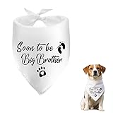 Big Brother Hundehalstuch, Halsband für Hunde, Schwangerschaftsankündigung, Geschenke für Damen und Herren
