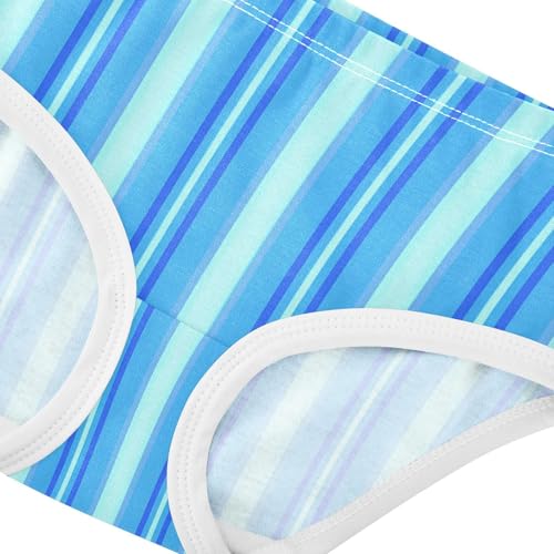Blue Stripe Toddler Girls's Underwear 2T 23009004