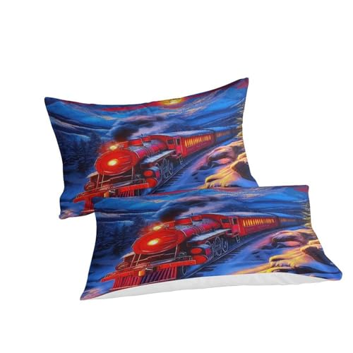 Housse de couette 3D train à vapeur de qualité supérieure en microfibre King Size - 3
