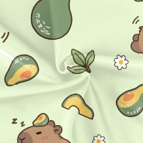 Image of Girls One Piece Swimsuits Capybara with Cute Strawberry Cute Swimwear Bathing Suits 3-10T
