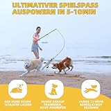 KOXXUD Reizangel Hunde, Profi Reizangel für Kleine, Mittelgroßer, Große Hunde für Ultimativen Spielspaß & Körperliche Auslastung (Seilstreifen + Biber)