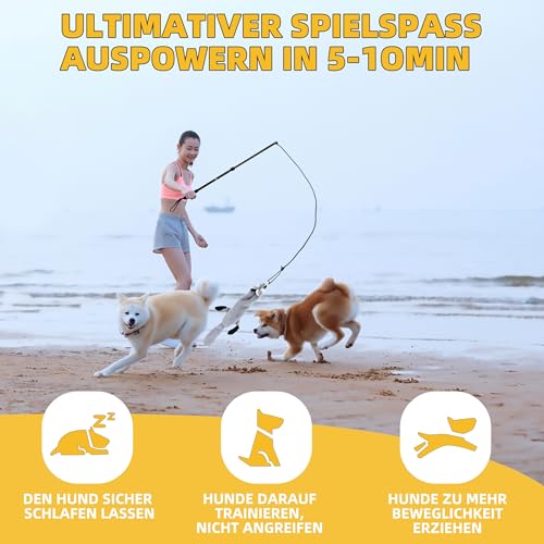 KOXXUD Reizangel Hunde, Profi Reizangel für Kleine, Mittelgroßer, Große Hunde für Ultimativen Spielspaß & Körperliche Auslastung (Seilstreifen + Biber)