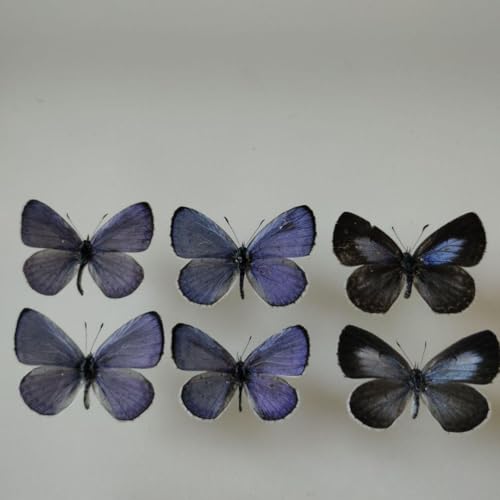 W{ NV}VW~ VW~ WHY <0729zW{>